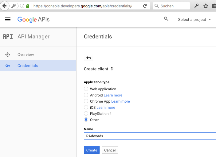 Google API Project Type