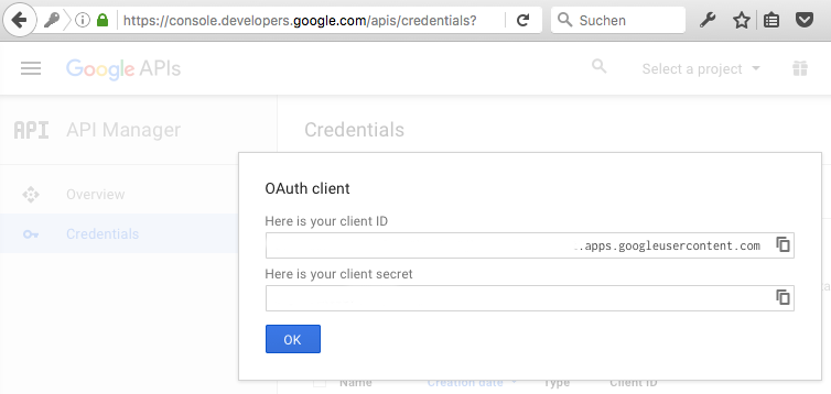 Google API Project OAuth Client